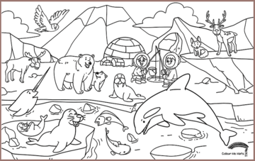 COLOUR ME MATS Arctic Expedition (Colouring Mat Bundle)