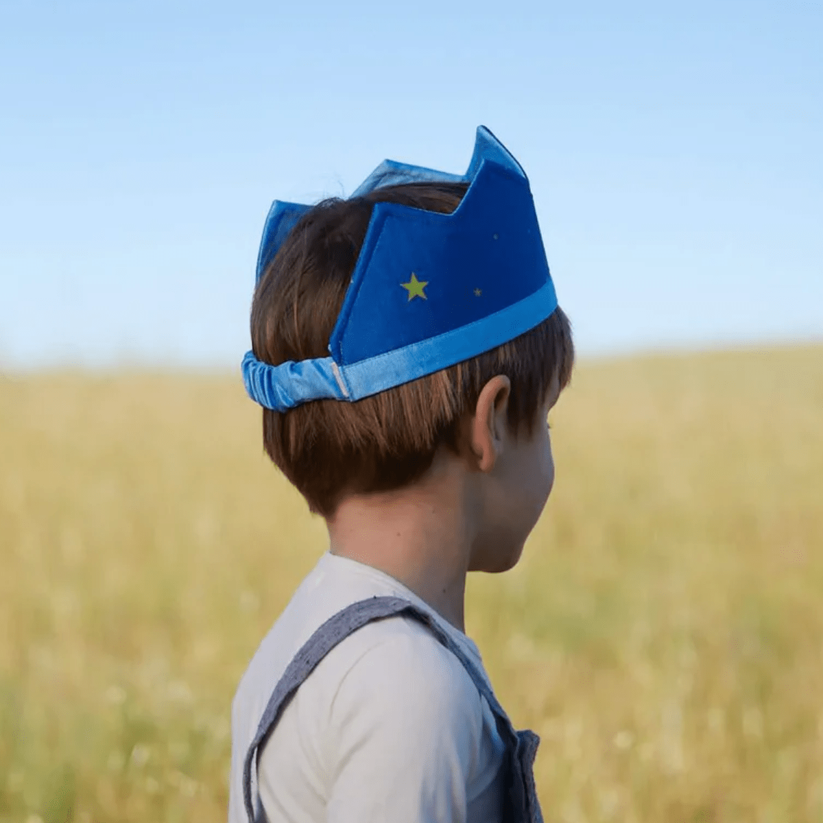 SARAH'S SILKS Crown - Starry Night (DP)