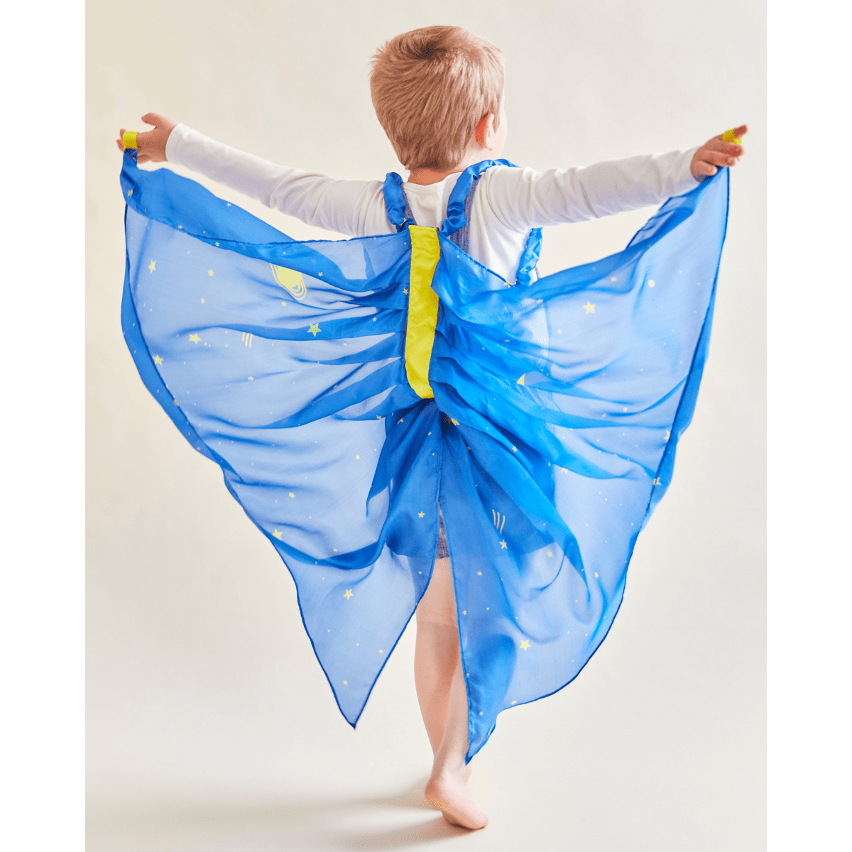 SARAH'S SILKS Wings - Starry Night (DP)
