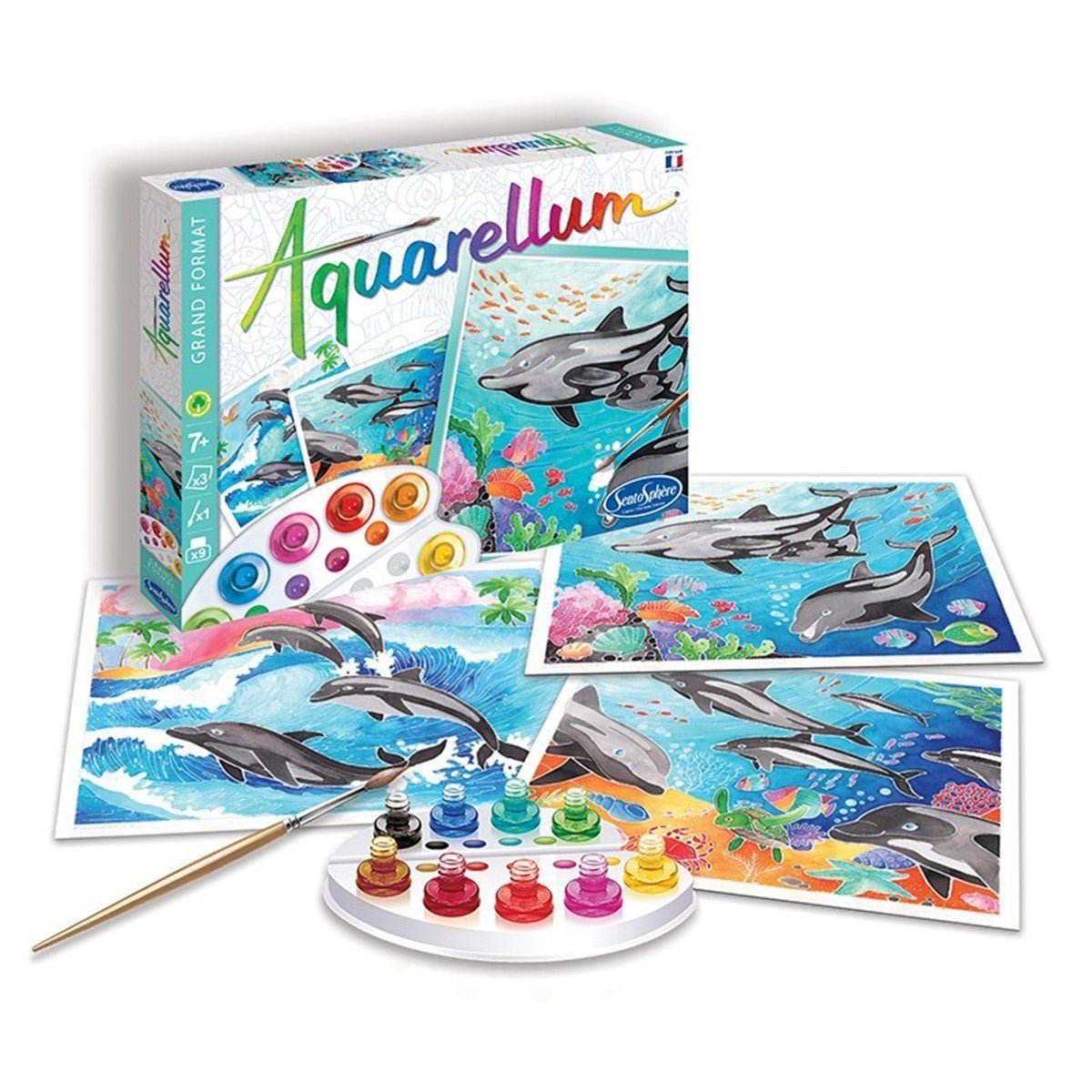 SENTOSPHERE AQUARELLUM "Dauphins" - Dolphins